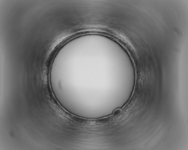 X0000111921360200908101213