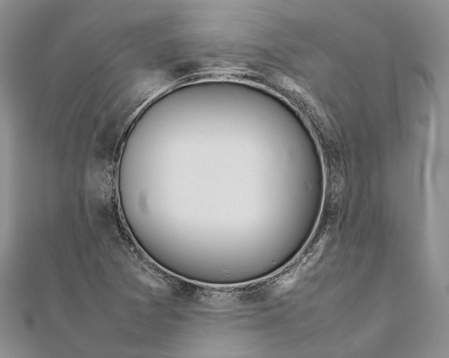 X0000111921361200908101213