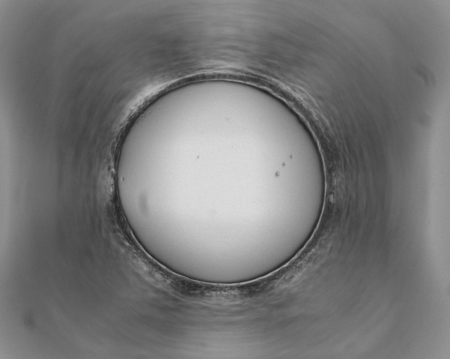 X0000111921363200908101212