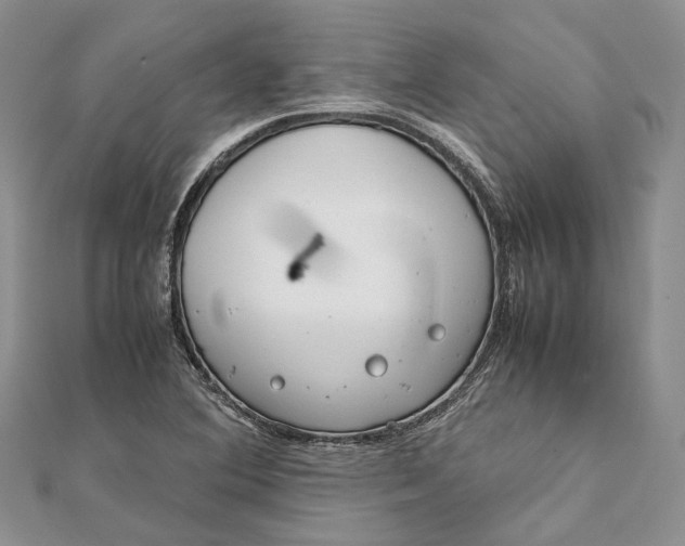 X0000111921364200908101212