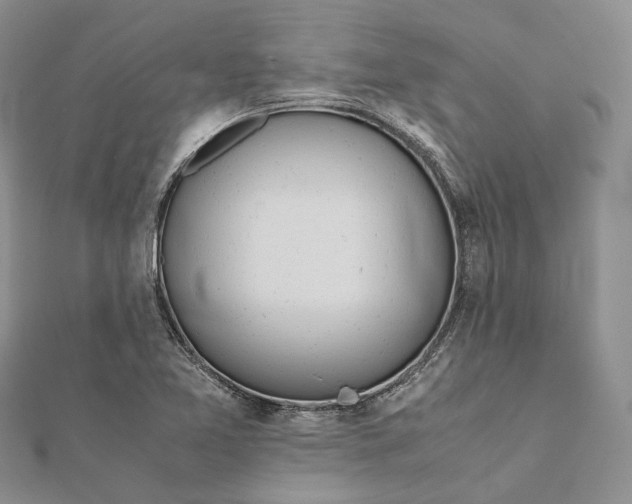 X0000111921365200908101212