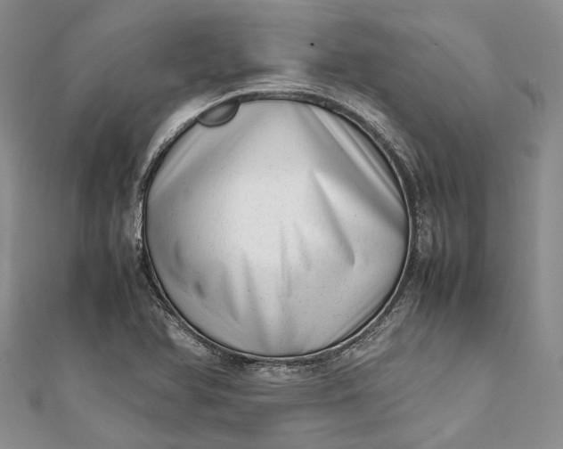 X0000111921366200908101212