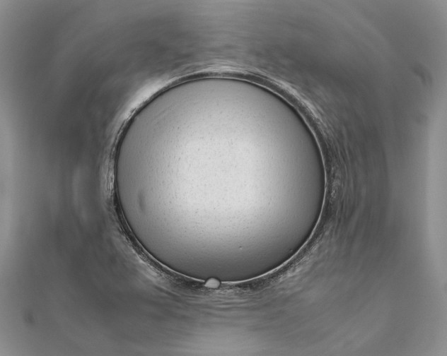 X0000111921367200908101212