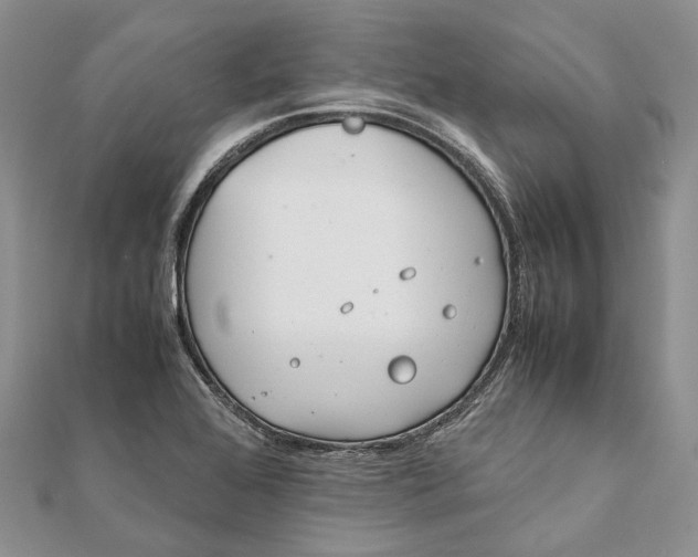 X0000111921368200908101212