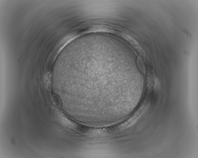 X0000111921369200908101212