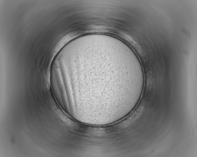 X0000111921370200908101212