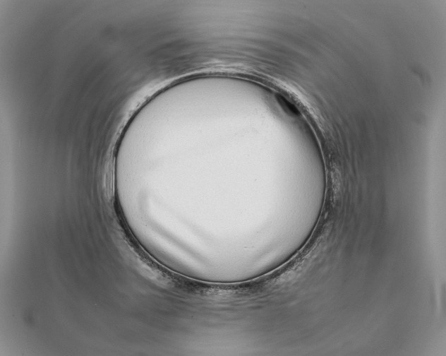 X0000111921371200908101212