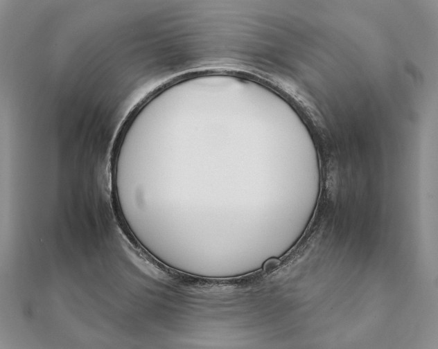 X0000111921372200908101212