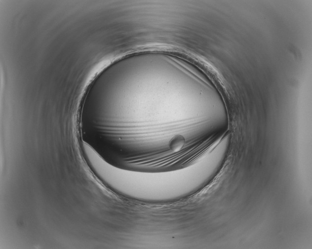 X0000111921373200908101212