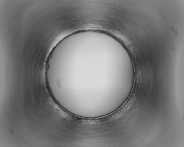 X0000111921374200908101212