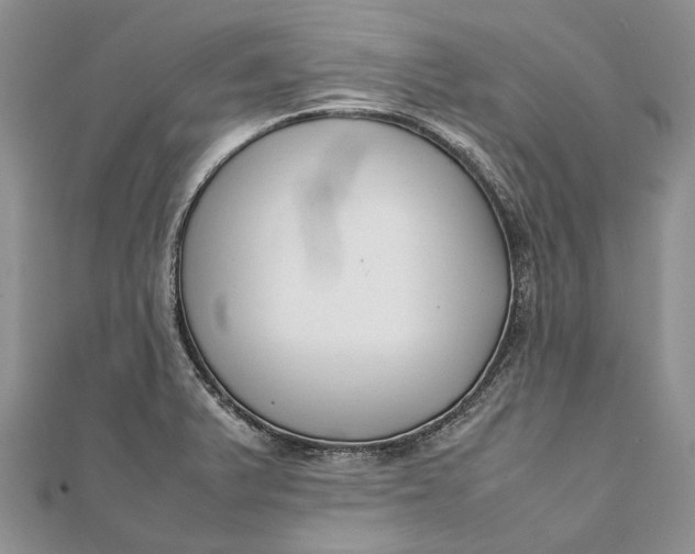 X0000111921375200908101212