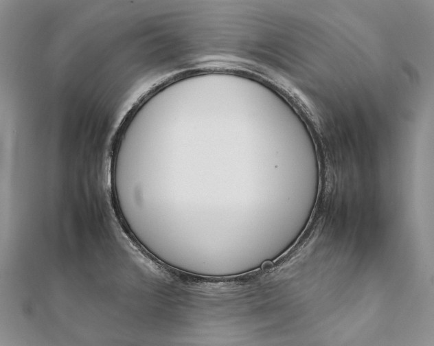 X0000111921376200908101212