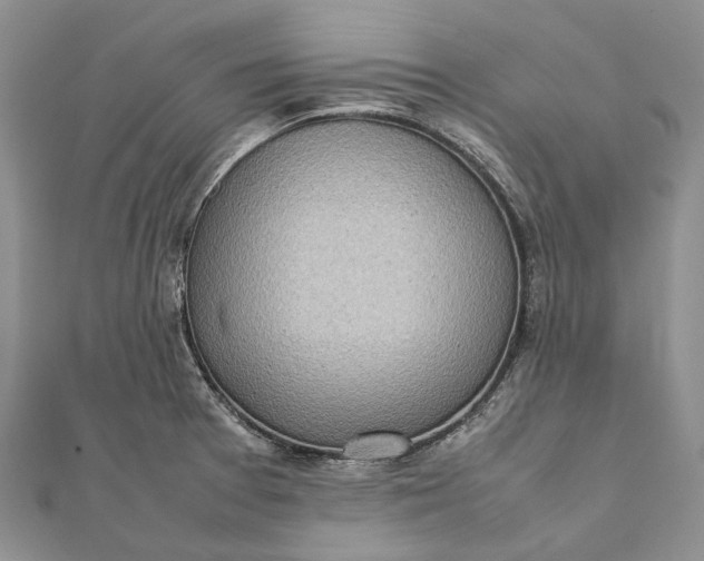 X0000111921377200908101212