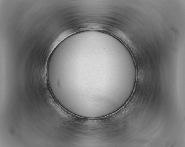 X0000111921378200908101212