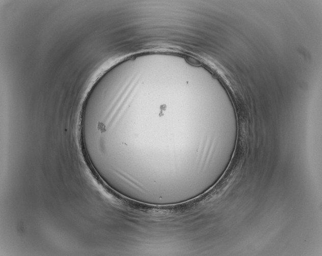 X0000111921379200908101212