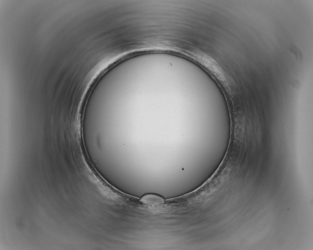 X0000111921380200908101212