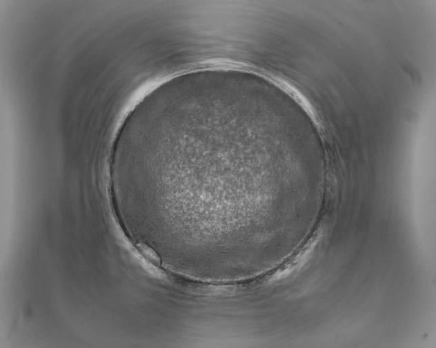 X0000111921381200908101212