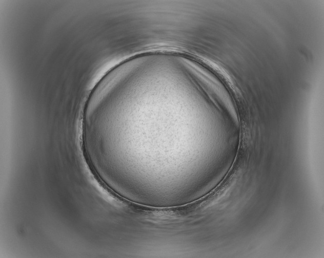 X0000111921383200908101212