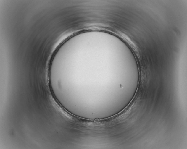 X0000111921384200908101212