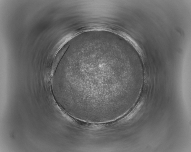 X0000111921385200908101212