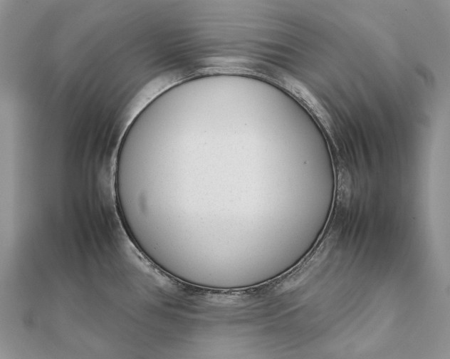 X0000111921386200908101212