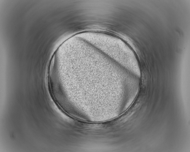 X0000111921387200908101212