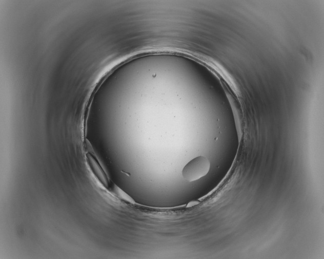 X0000111921388200908101212