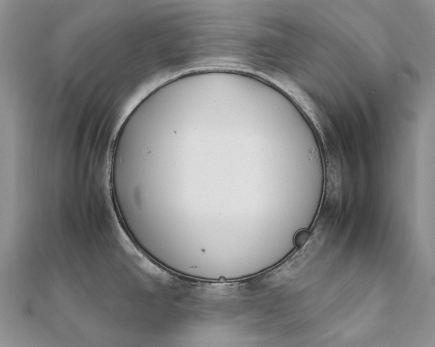 X0000111921390200908101212