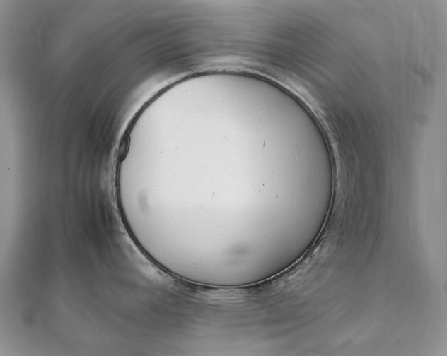 X0000111921392200908101212