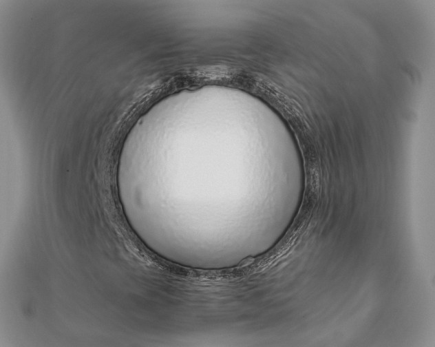 X0000111921393200908101211