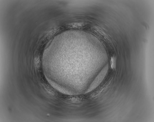 X0000111921395200908101212