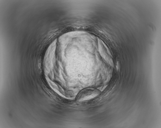 X0000111921396200908101212