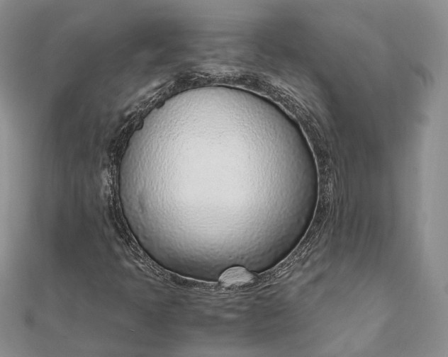 X0000111921397200908101212