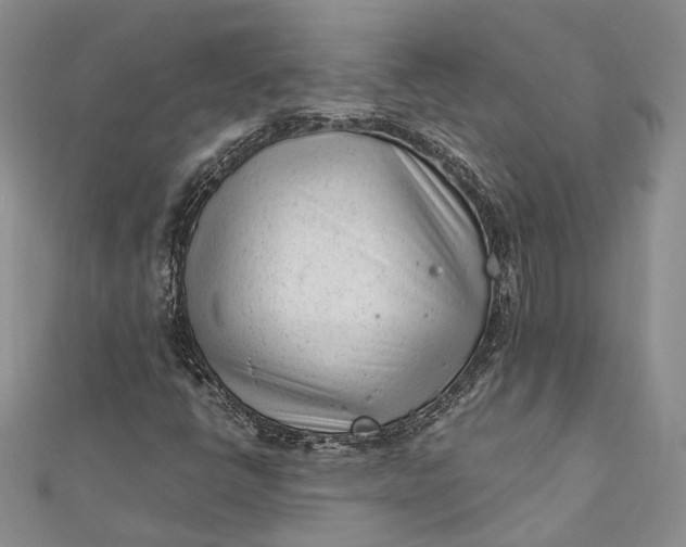 X0000111921398200908101212