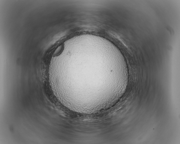 X0000111921399200908101212