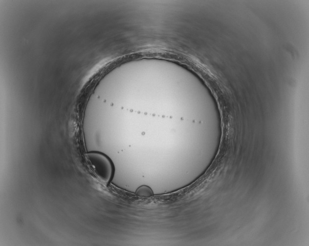 X0000111921400200908101212