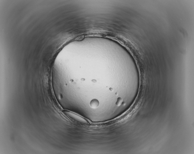 X0000111921401200908101212