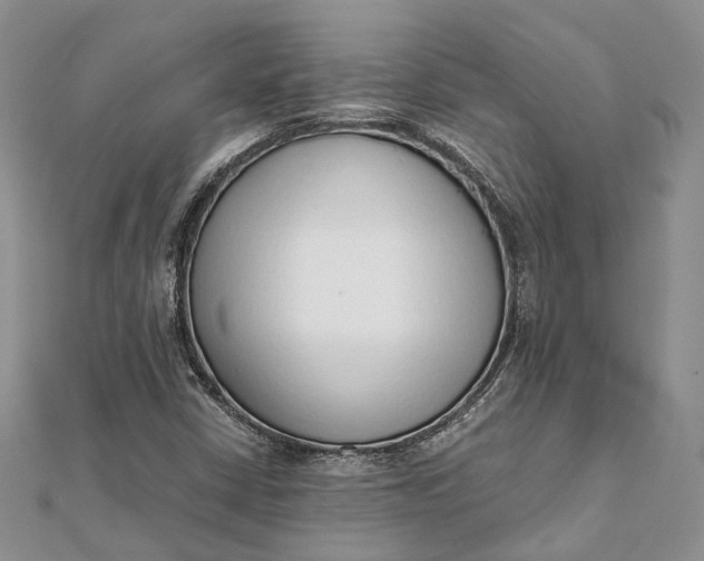 X0000111921402200908101212