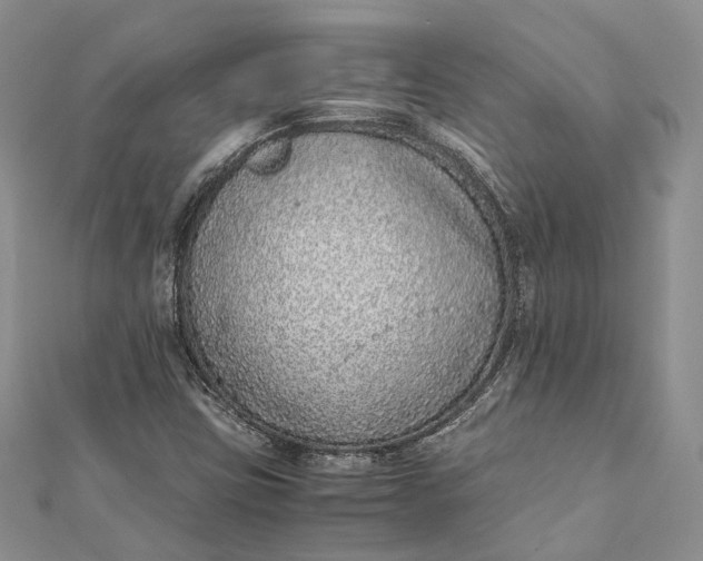 X0000111921403200908101212