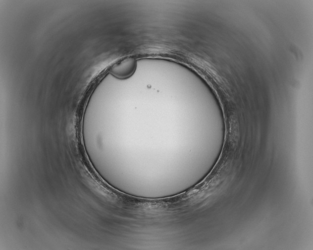 X0000111921404200908101212