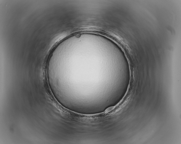 X0000111921405200908101212