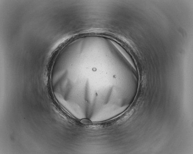 X0000111921406200908101212