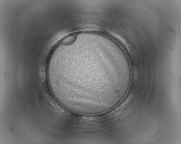 X0000111921407200908101212