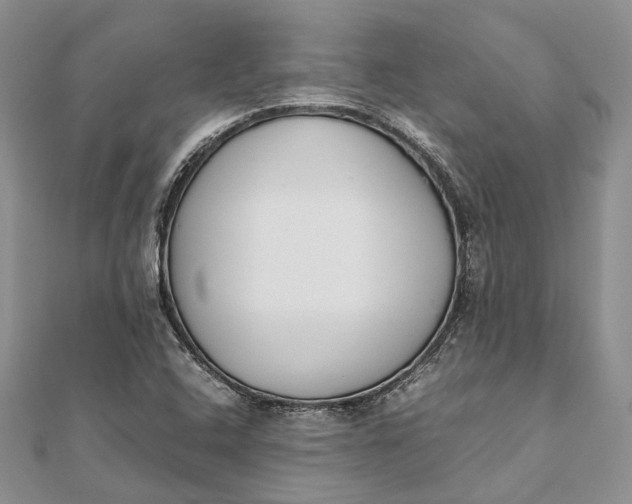 X0000111921408200908101212