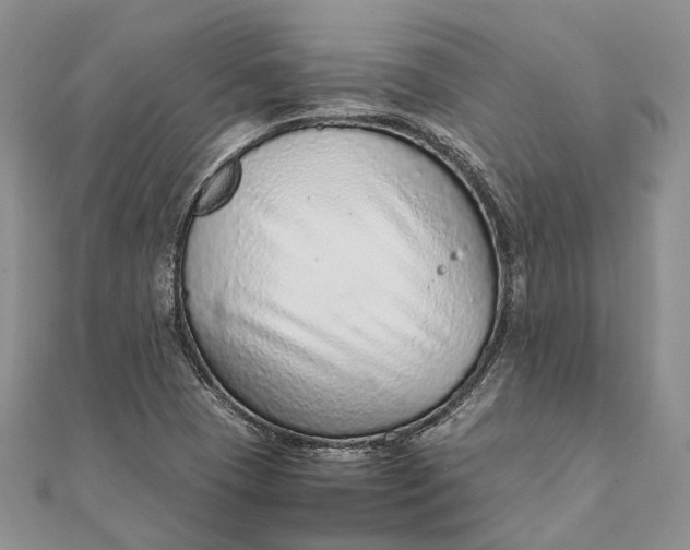 X0000111921409200908101212