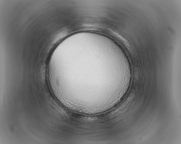 X0000111921411200908101212