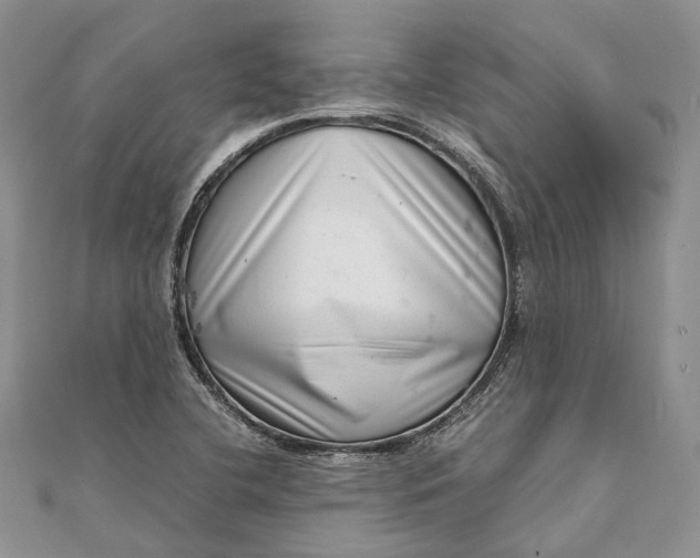 X0000111921412200908101212