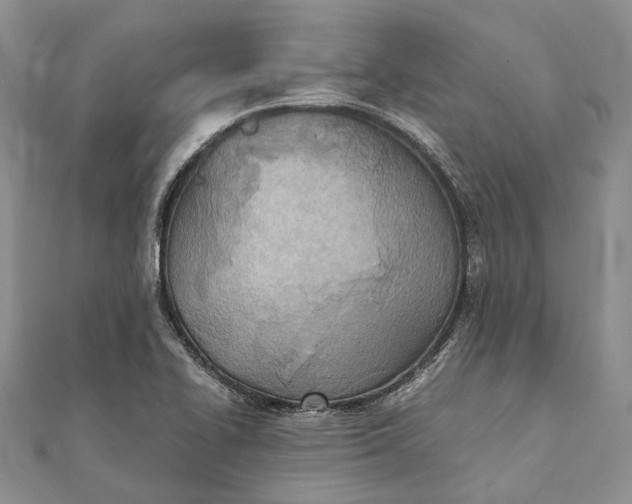 X0000111921414200908101212