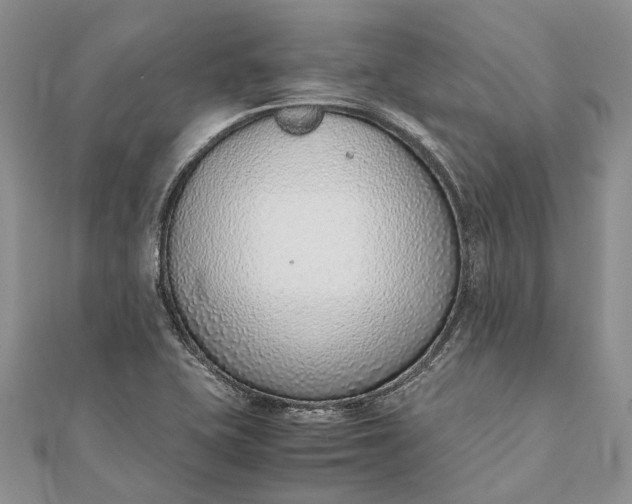 X0000111921415200908101212