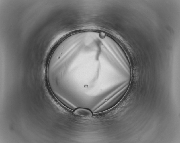 X0000111921416200908101212